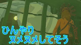 【ティアキン】依頼を受けて、マヨイのお腹を観察してみた【ドリカラ】【ボイスピ実況,ゼルダの伝説,ティアーズオブザキングダム,TotK,バグ,検証 】