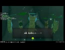 WiiUでまったり風のタクト　#13