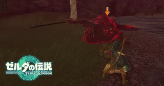 【ゼルダの伝説 ティアーズ オブ ザ キングダム】女神の剣は王国と共に泣く#9