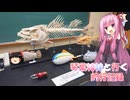 琴葉姉妹と行く釣行記録（車載編part36 46）