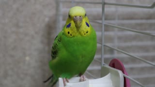 お盆も終わり