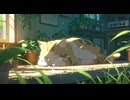 Lo-Fi BGM｜the end of oblivion｜忘却の果て