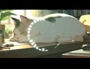 Lo-Fi BGM｜Prayers blown away by the wind｜風に消えた祈り