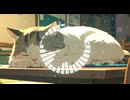 Lo-Fi BGM｜unanswered prayer｜届かない祈り