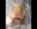 オナホールに貼り付けられて歌わされる某大物youtuber