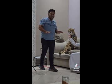 ホモと見る飼い主に牙をむくチーター