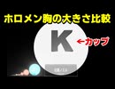 胸の大きさを比較 2