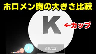 胸の大きさを比較 2