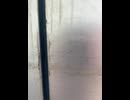 77716919691__FCC8CE62-382C-4419-8B18-F08011D2BE43