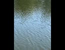 77717084740__79F17B97-069F-48C5-A491-412FEC7E8469