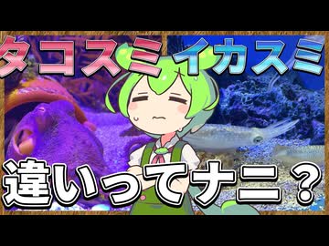 ずんだもんのたべもののヒミツ　-イカのヒミツ-