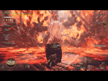 ワイルズお気に入りクリップ集