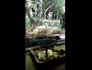 蚊取り線香のある風景｜DAIJI陶芸の遠藤孝弘