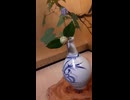 DAIJIの動画｜遠藤孝弘の陶芸紹介