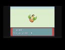 【ゆっくり実況】GBA ポケットモンスター サファイアをランダマイザ―でプレイ Part 5