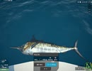 【UFS】ピナス湾・海で１時間釣る！！＃９【究極の釣りシミュレーション】