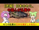 中国人によるセミ乱獲は侵略行為であるという話【ずんだもん&ゆっくり解説】