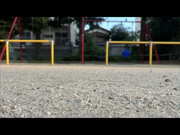 変わんないね/可不