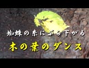 蜘蛛の糸にぶら下がった　木の葉のダンス
