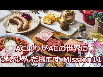 AC乗りがACの世界に迷い込んだ様です　mission11