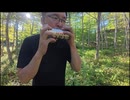 何でも楽器にする魔法（ゾルトラーク）