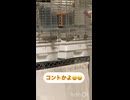 なぎがいないわ
