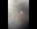 77725361141__C1FCDE18-84DE-460B-8D0C-A7B302195D2D