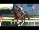 【リアルダビスタ】2025年8月10日シャインブラスト【嵐を呼ぶ栗毛】