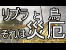 守護者だよ！常夜リブラとあそぼう！【ELDEN RING NIGHTREIGN】
