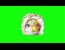 California Gurls ムツキGB詰め合わせセットVol.2
