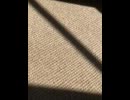 77727670732__04ABCDCC-1AAF-48FC-BB8B-2088444B5F40