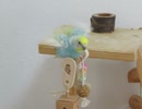 大きい声で鳴く→羽をバタバタするインコ2025年8月19日ショート動画
