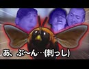 巨大なクマンバチがホモビ撮影中に入り込んでパニックに陥る野獣先輩ら