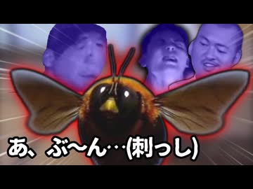 巨大なクマンバチがホモビ撮影中に入り込んでパニックに陥る野獣先輩ら