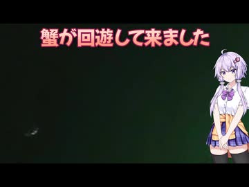 【VOICEROIDフィッシング・夜釣り】夕涼みがてらの夜釣り