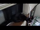 はなさないこま
