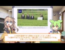 【ずんだもん解説】何してんのう？【春日部つむぎもいるよ】