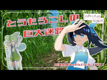 【自作立ち絵投稿祭】こみなとがずんだもんの巨大迷路に挑戦するだけ【CeVIO旅行】