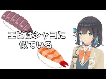 【Synthesizer V2 宮舞モカ】エビはシャコに似ている【Cover】
