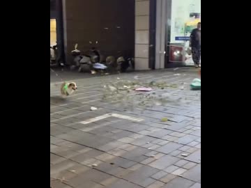 ホモと見る竜巻を起こすコーギー