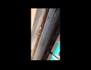 女性専用車両でくだらない活動を繰り返すおじさんが駅員に小馬鹿にされるｗｗ