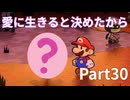 愛も魔法の一種だね（感涙）【ペーパーマリオRPG】
