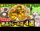 【釧路駅前グルメ】勝手丼・スパカツの次に食べたい　釧路駅前絶品カレー4選【釧路のずんだもん】