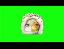 【完全版】California Gurls ムツキGB詰め合わせセットver.922