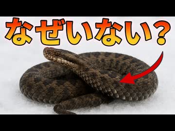 毒を持つ動物が寒い場所に少ない理由【解説動画】