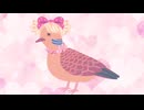 萌え声のキジバト