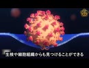 ファイザーとモデルナのmRNAワクチン、接種3年後も合成スパイクタンパク質が体内に残存