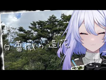 【ダークサイド劇場】白薔薇の造花【第11回ひじき祭】