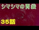 【 ＤＫバナンザ 】すべてを破壊する厄猿　３５話【ドリカラ】【ボイスピ実況,ドンキーコングバナンザ,バナンザ 】