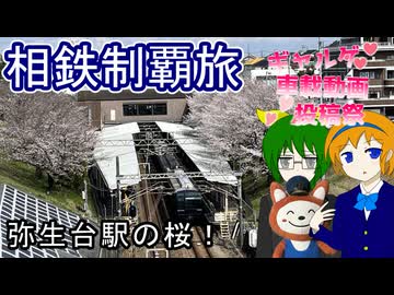 【弥生台駅の桜！】相模鉄道制覇旅【歩とみおの旅日記】